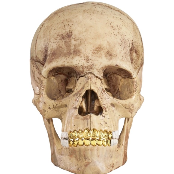 Supreme Other - Supreme 21 Piece Human Skull Model / Puzzle With Embossed Logo Teeth